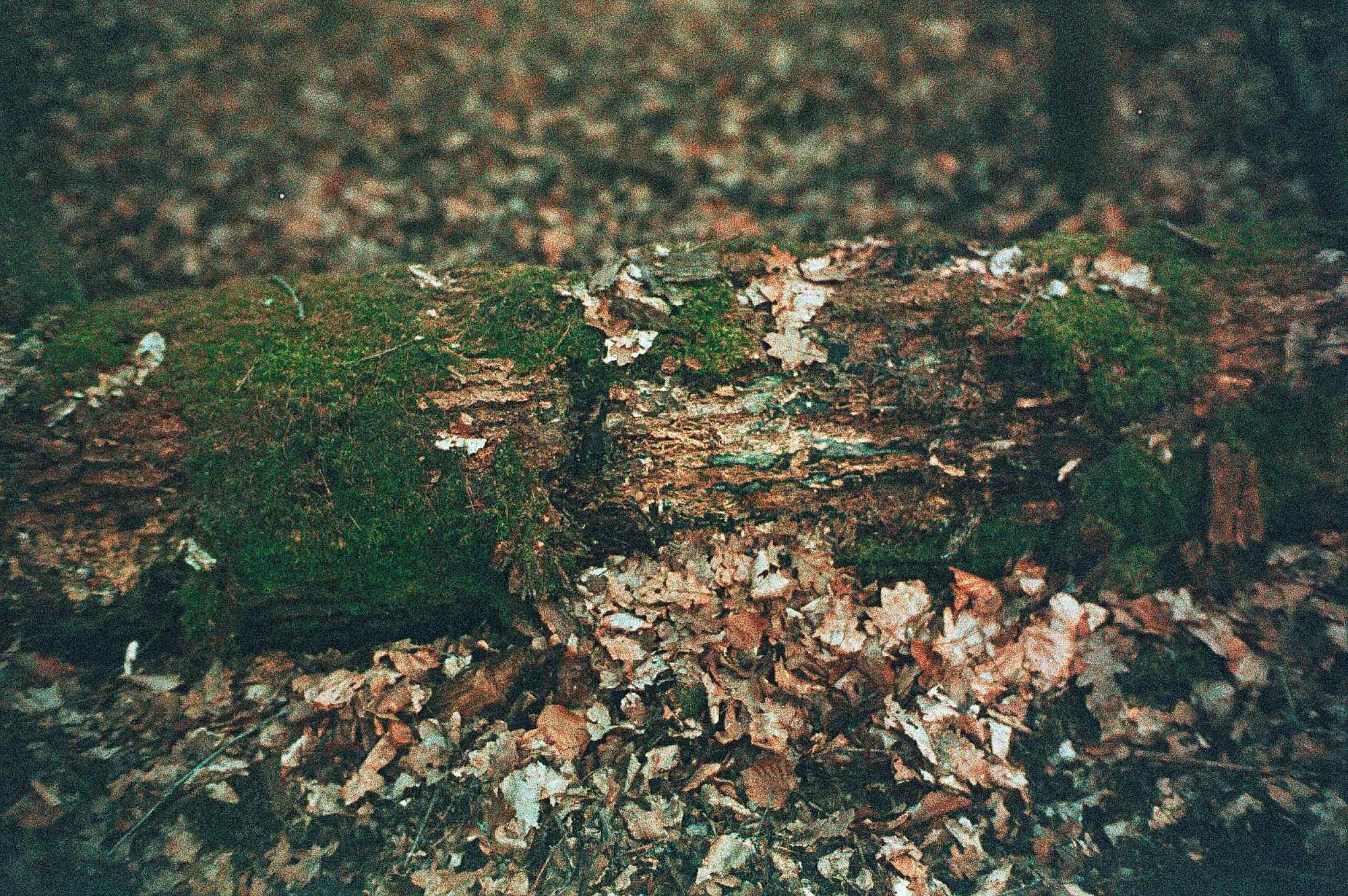 Vkl 2019 02 20 Leica CL 7Artisans Precisa cross (24)